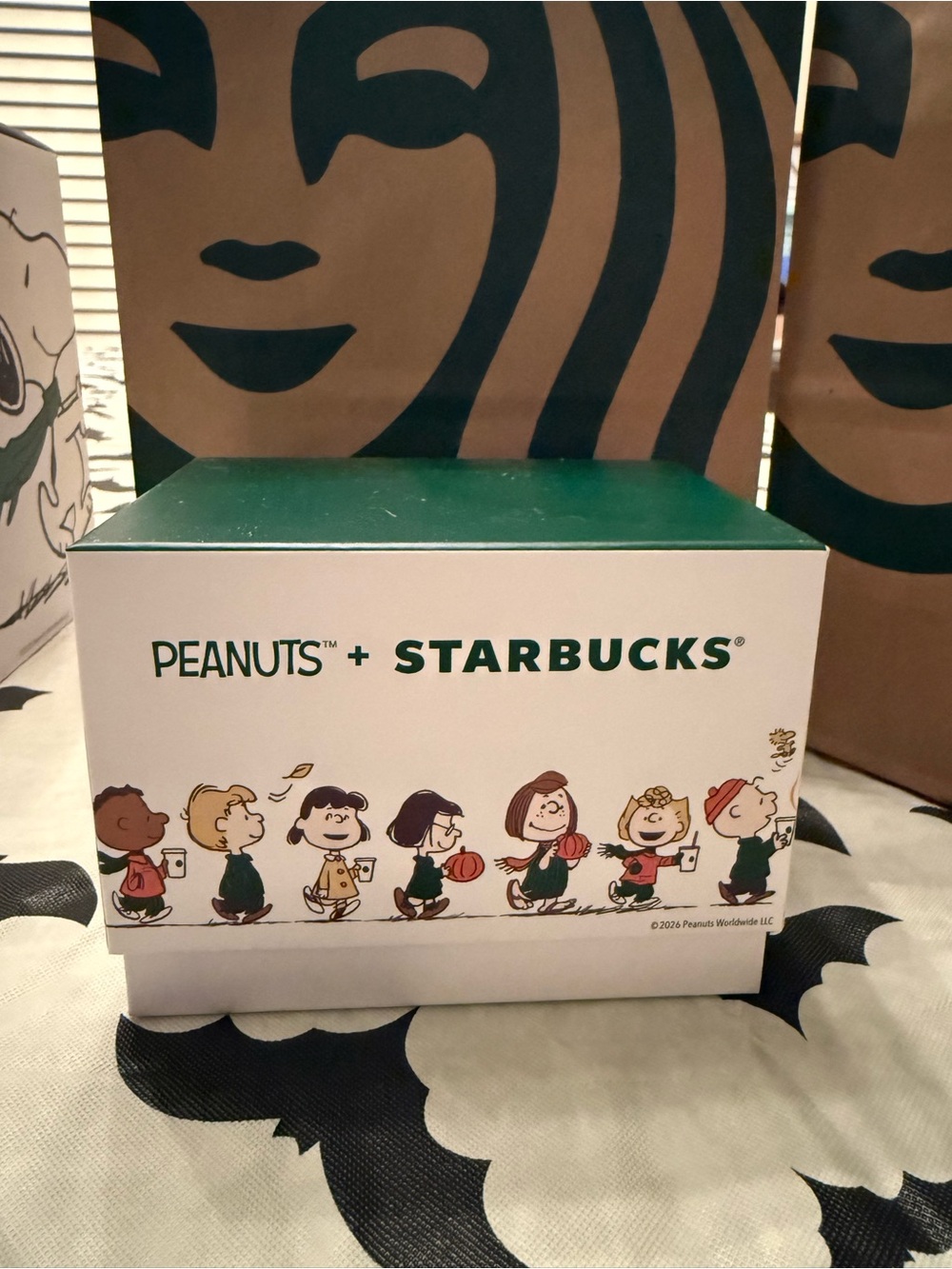 Starbucks x Peanuts Kids Costume Accessory Box - Green and White